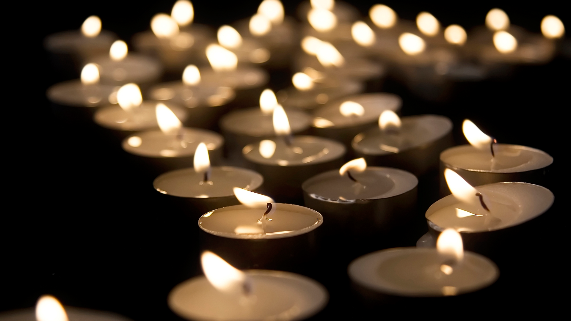 Outlet Home Store 2 Outlet Home Store -Outlet Home Store 2