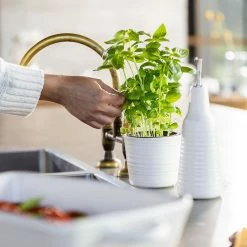 Ecology Ottawa Herb Planter Calico -Outlet Home Store CWM EC0407 3