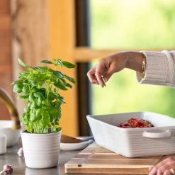 Ecology Ottawa Herb Planter Calico -Outlet Home Store CWM EC0407 4