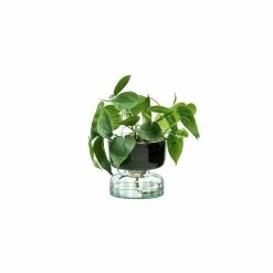 LSA Canopy Recycled Glass Self Watering Planter 13cm