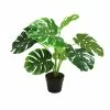 Stoneleigh Roberson Monstera With Black Plastic Pot 60cm 1 Stoneleigh Roberson Monstera With Black Plastic Pot 60cm -Outlet Home Store RMA 950259