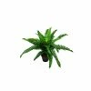 Stoneleigh Roberson Faux Boston Fern Plant With Pot 45cm 2 Stoneleigh Roberson Faux Boston Fern Plant With Pot 45cm -Outlet Home Store RMA 965147