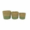 Stoneleigh Roberson Set Of 3 Webster Baskets Natural & Green -Outlet Home Store RMA 965587