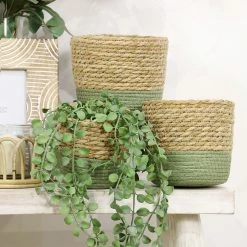 Stoneleigh Roberson Set Of 3 Webster Baskets Natural & Green -Outlet Home Store RMA 965587 3