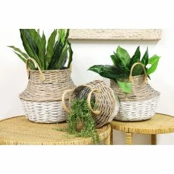 Stoneleigh Roberson Harper Woven Basket Small 28cm Natural & White -Outlet Home Store RMA 966345 4