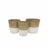 Stoneleigh Roberson Set Of 3 Harper Woven Baskets Natural & White -Outlet Home Store RMA 966348