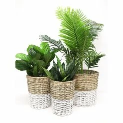 Stoneleigh Roberson Set Of 3 Harper Woven Baskets Natural & White 7 Stoneleigh Roberson Set Of 3 Harper Woven Baskets Natural & White -Outlet Home Store RMA 966348 3